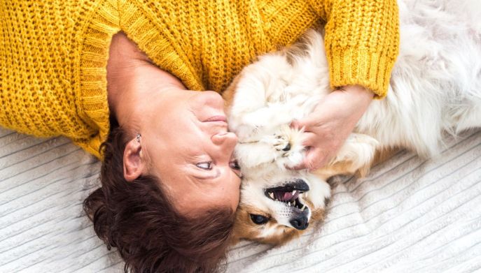 Coccolare gli animali: la passione che diventa lavoro