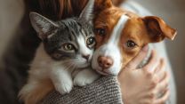 Coccolare gli animali è un lavoro: nuove opportunità e sfide per il benessere di cani e gatti