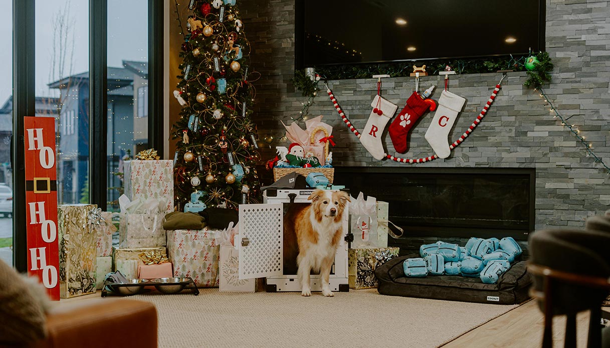Living con albero di Natale, regali e cuccia per cane decorato in stile festivo.