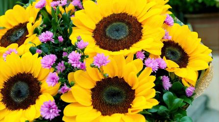 Piante simbiotiche e significato dei fiori, cosa racconta il tuo giardino di te