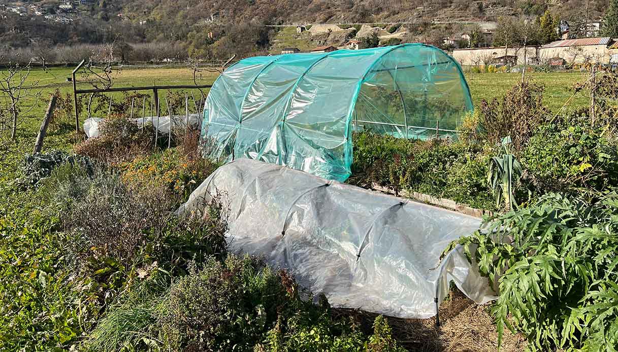 Mini-serra verde in orto per proteggere le piante dal freddo.