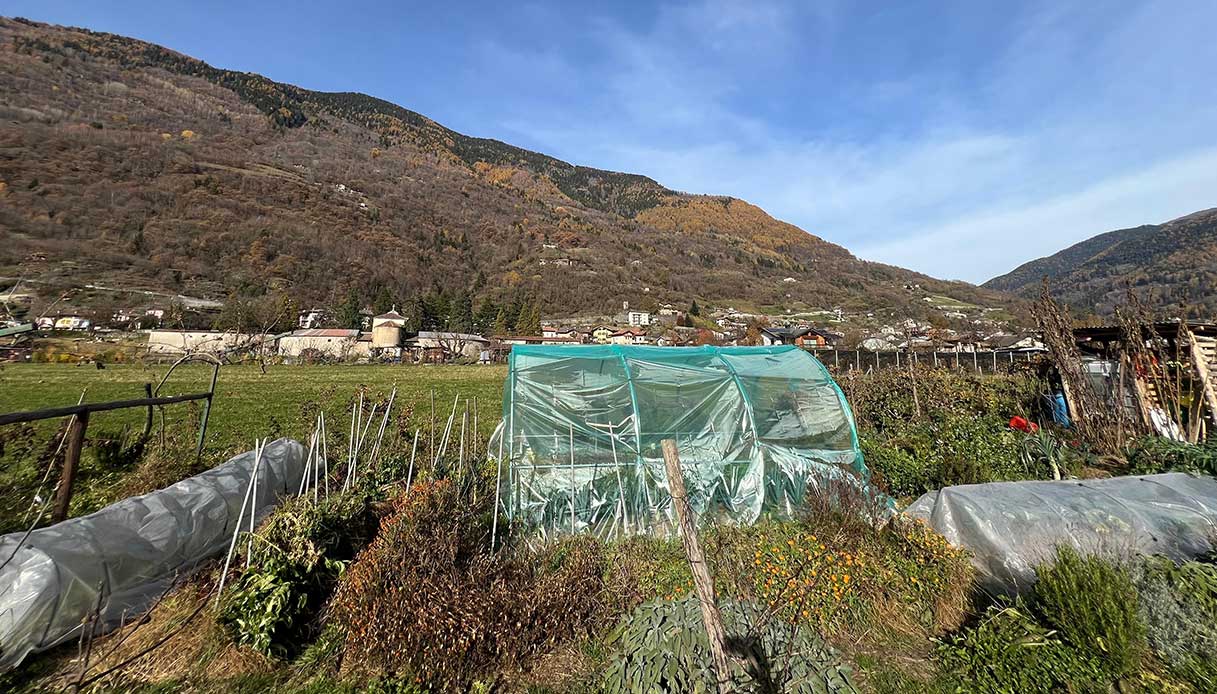 Serra e tunnel protettivi in un orto di montagna durante l’inverno.