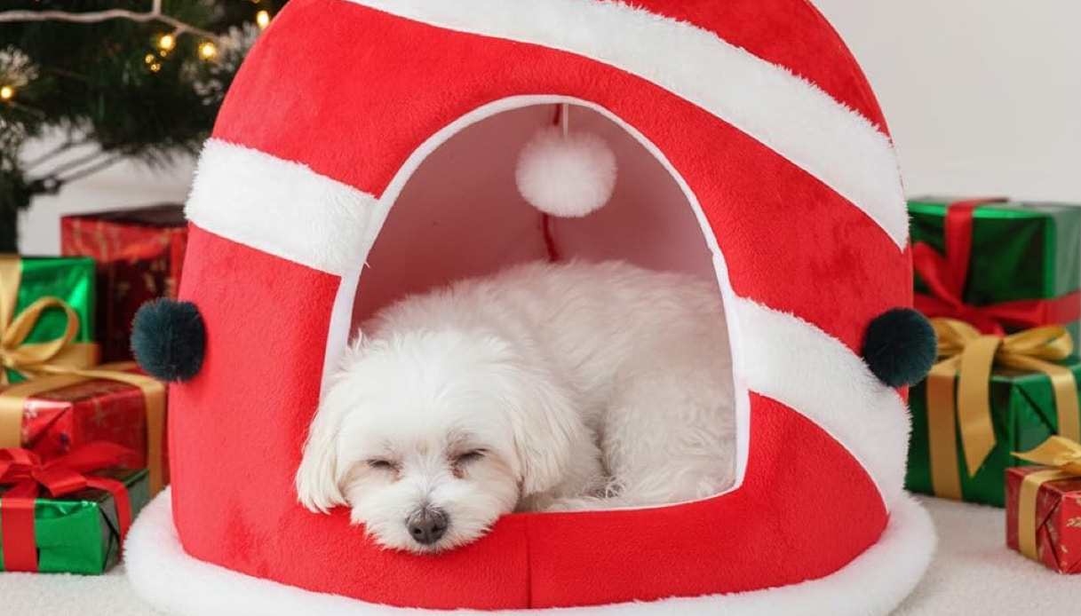 alberi campane e slitte le cucce natalizie per i tuoi amici a 4 zampe sono virali e bellissime da Dilei.it alberi campane e slitte le cucce natalizie per i tuoi amici a 4 zampe sono virali e bellissime