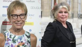 Brigitte Bardot, il ricordo di Milena Gabanelli: “Mi ignorò per parlare con un gatto”