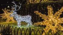 Giardini di Natale, 5 parchi in Italia per vivere la magia delle Feste