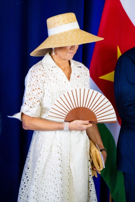 Maxima d'Olanda look