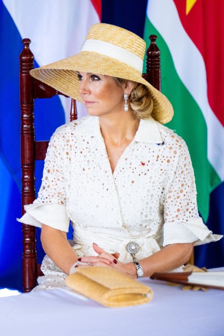 Maxima d'Olanda look