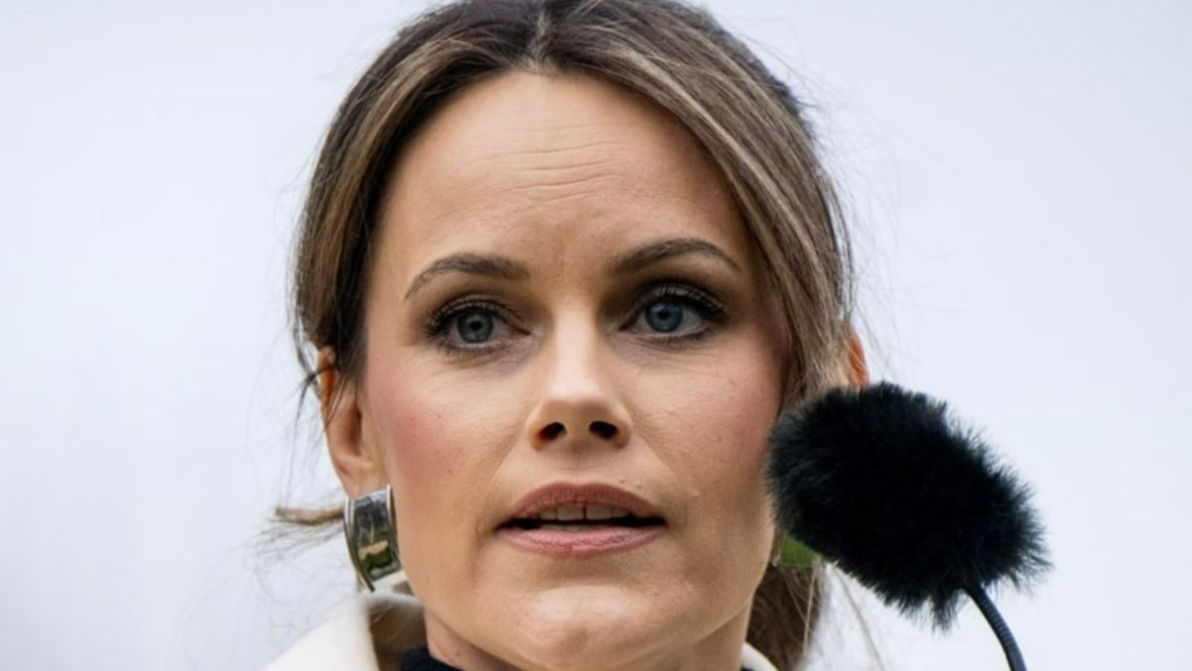 Sofia di Svezia ed Epstein, il legame tenuto nascosto fino ad oggi