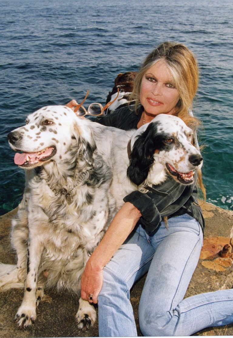 Brigitte Bardot a La Madrague 