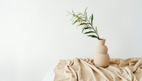 Design e natura, quando la bellezza è anche etica