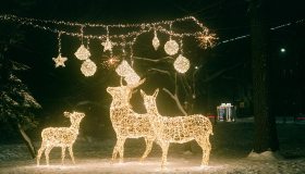 Illuminazione natalizia da esterni, idee di stile per un’atmosfera elegante