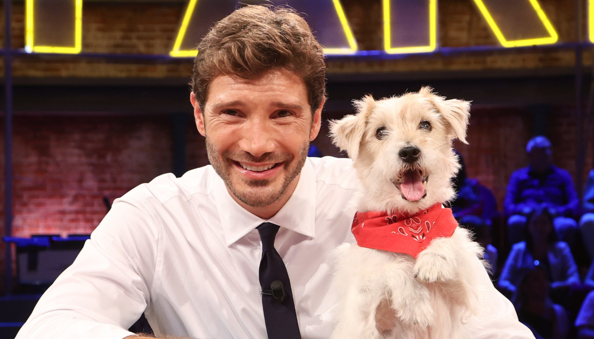 affari tuoi non va in onda il 31 dicembre quando torna in onda stefano de martino da Dilei.it affari tuoi non va in onda il 31 dicembre quando torna in onda stefano de martino