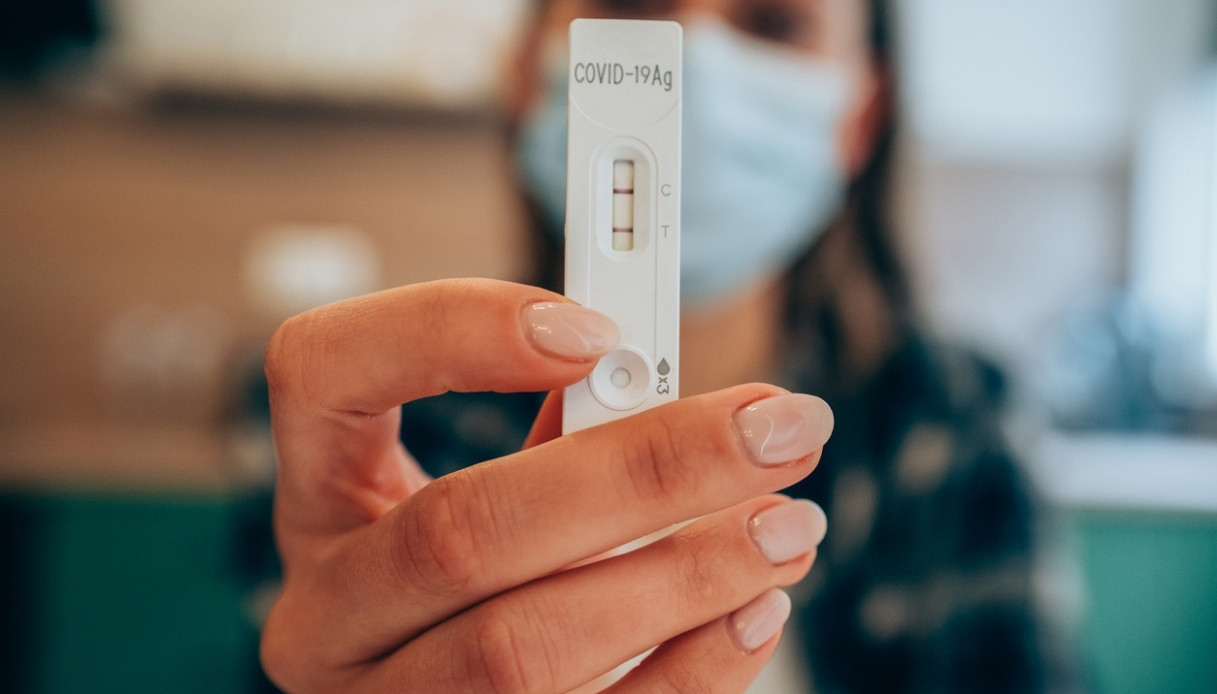 Allarme nuovi virus: influenza D e coronavirus canino in crescita. Cosa sono, che malattie causano, come prevenire