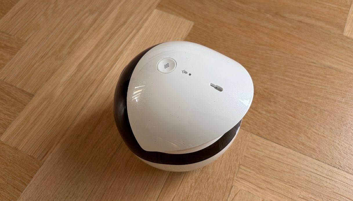 Funzioni per gli amici a 4 zampe