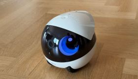 Questo robot cammina per casa e intrattiene i tuoi animali