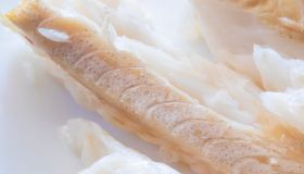 Filetti di nasello surgelati ritirati, i lotti interessanti