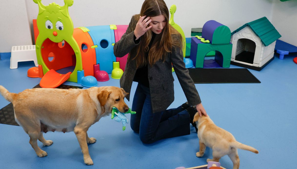 Sofia al Centro di Formazione e Allevamento della Fondazione ONCE a Madrid