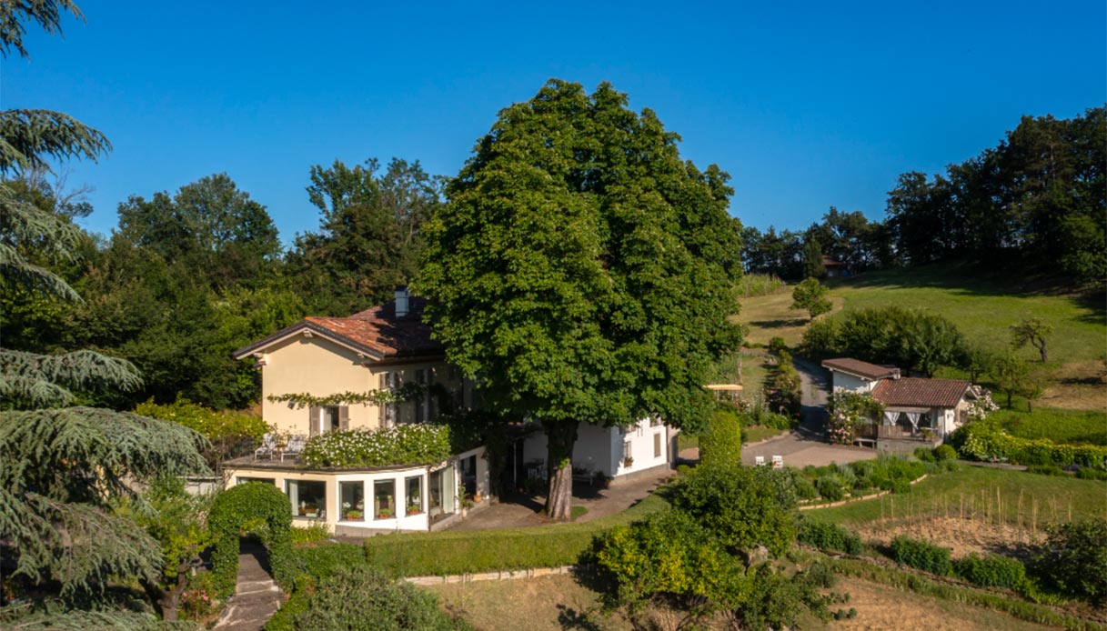 Tenuta straordinaria tra i vigneti: 20mila ettari di terreno, 7 camere e 7 bagni. In vendita a 1,6 milioni
