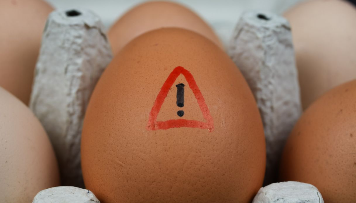 Uova fresche richiamate per rischio salmonella, i lotti interessati
