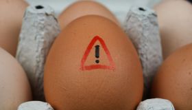 Uova fresche richiamate per rischio salmonella, i lotti interessati