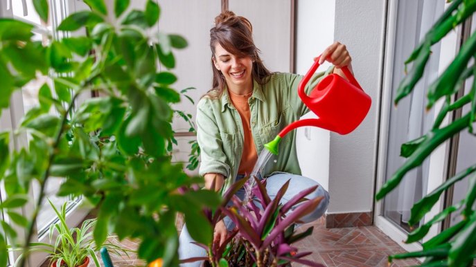 Quale acqua scegliere per bagnare le piante, dalla demineralizzata alla addolcita