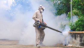 Virus Dengue, preoccupazione in Toscana. Scatta la disinfestazione