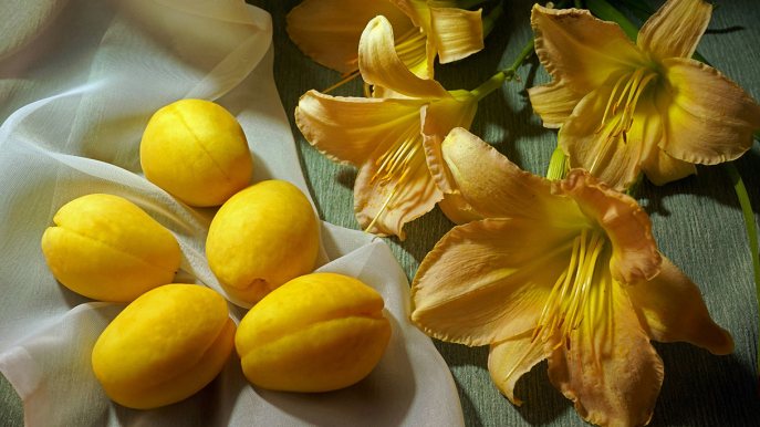 Identità olfattiva della casa come cambia il profumo con la primavera