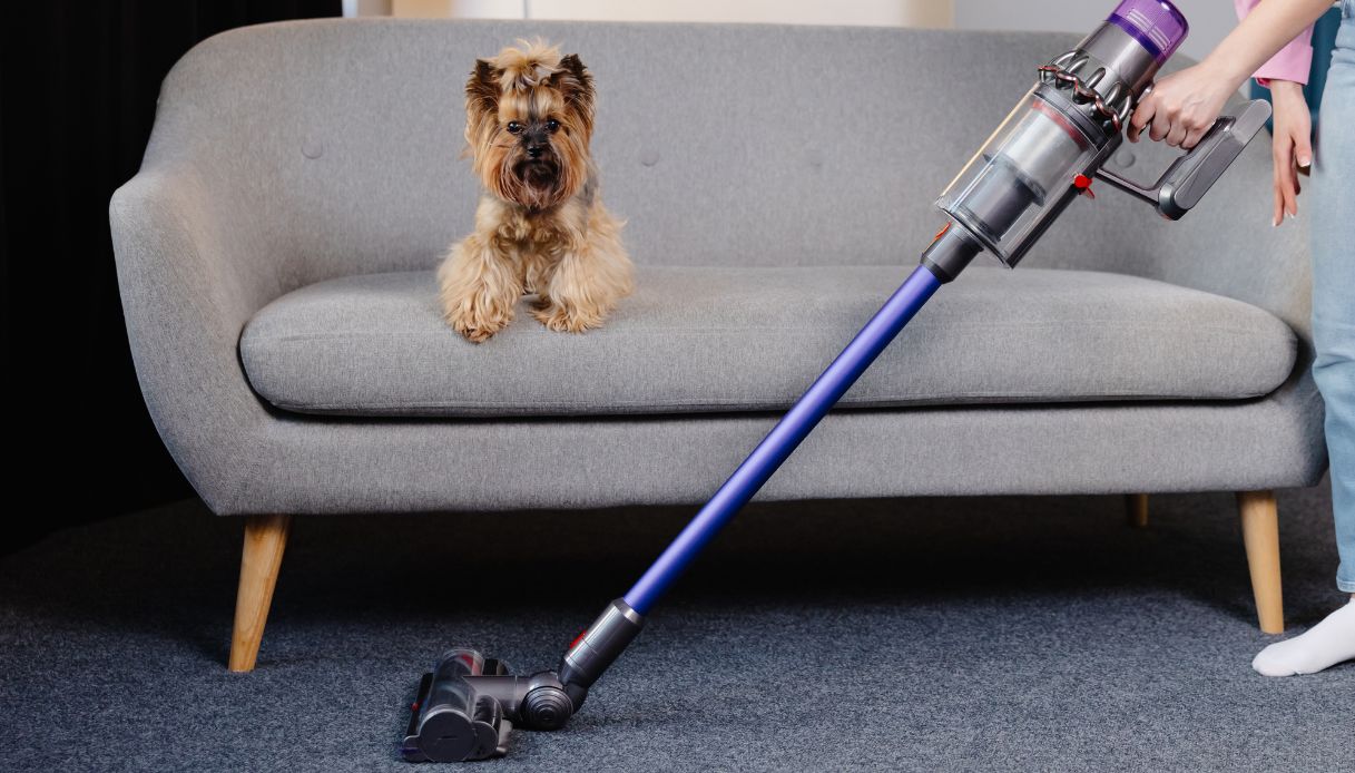 L’aspirapolvere senza fili che pulisce pavimenti e tappezzeria, e che cattura tutti i peli dei nostri animali