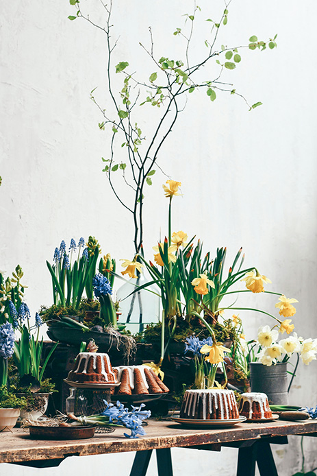 piante e fiori primaverili in casa stile urban jungle