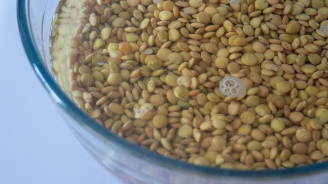 Fertilizzante naturale con l’acqua di ammollo delle lenticchie, come prepararlo e usarlo