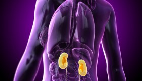 Giornata Mondiale del Rene, le raccomandazioni degli esperti per prevenzione, diagnosi precoce e dialisi