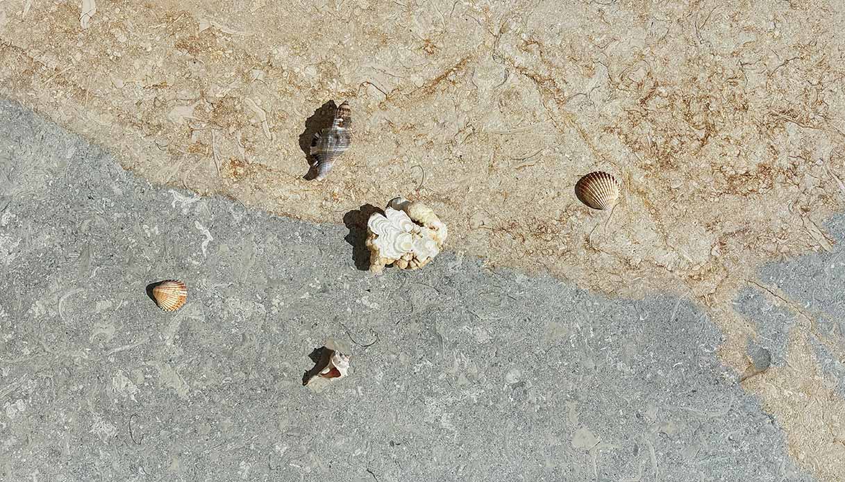 Dettaglio della pietra naturale Perla Blu di Grassi Pietre con fossili marini visibili nella superficie