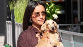 Chi è Leo, il bassotto di Charles Leclerc e Alexandra Saint Mleux