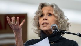 Le star di Hollywood scendono in piazza: James Fonda e Robert De Niro a capo della marcia contro Trump