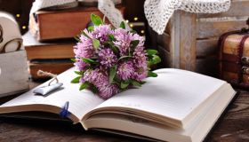 Matrimonio a tema letterario, come organizzarne uno
