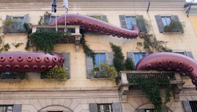 Polpo gigante Moncler