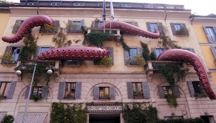 Polpo gigante Moncler