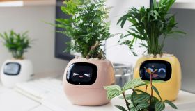 Come funziona il vaso da fiori intelligente e perché dovresti averne uno in casa. Soprattutto se non hai il pollice verde