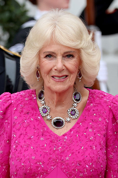 Camilla viaggio America