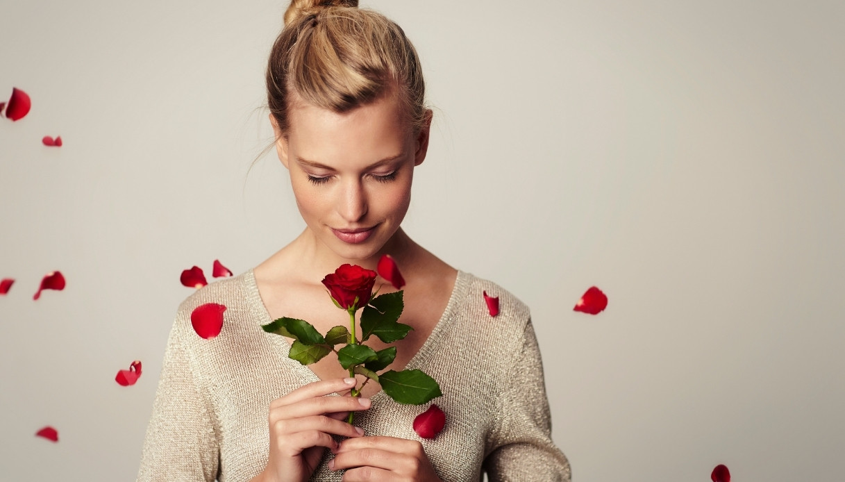 nonchalant o lover boy