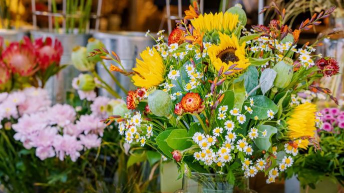 Mostre e fiere di piante e fiori: il calendario di maggio