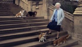 Elisabetta II, l’incredibile numero di corgi che ha avuto nella sua vita