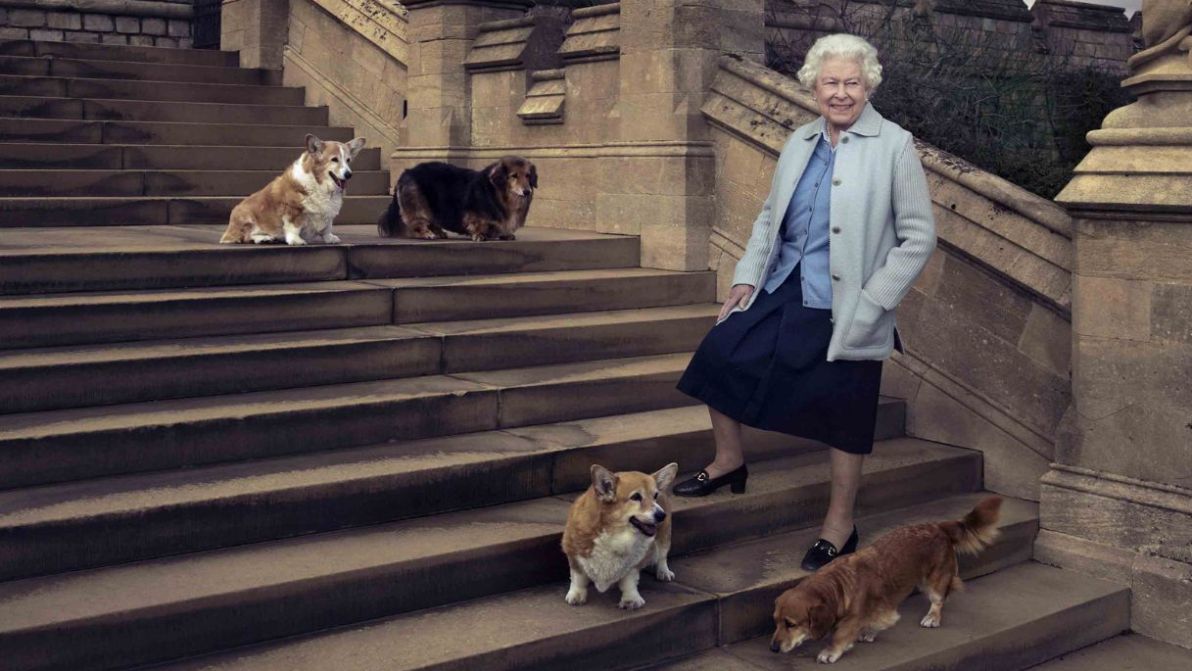 Elisabetta II, l’incredibile numero di corgi che ha avuto nella sua vita