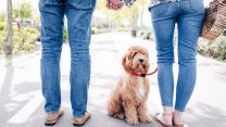 “O me o il cane”: se lui ti chiede una rinuncia difficile