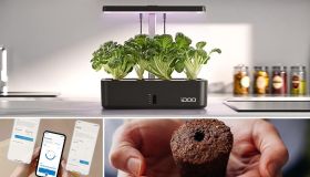 Pollice verde cercasi: i mini orti idroponici da cucina per avere aromi freschi tutto l’anno (anche in un monolocale)