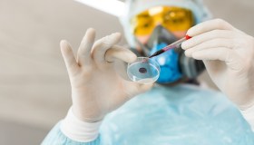 Hantavirus e Covid, similitudini e differenze. Scatta meccanismo di protezione civile UE. Cosa dicono gli esperti