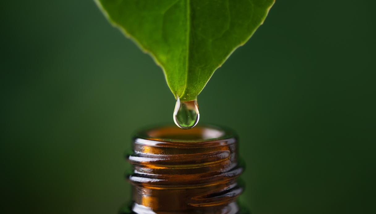 Liquidi in eccesso e gonfiore: 5 drenanti naturali consigliati dall’esperto per sgonfiarsi subito