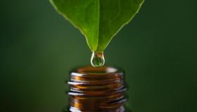 Liquidi in eccesso e gonfiore: 5 drenanti naturali consigliati dall’esperto per sgonfiarsi subito