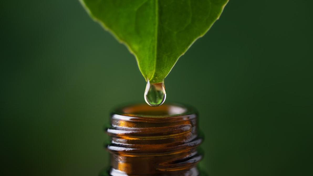 Liquidi in eccesso e gonfiore: 5 drenanti naturali consigliati dall’esperto per sgonfiarsi subito