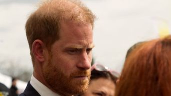 Harry travolto dalla polemica: accuse gravissime